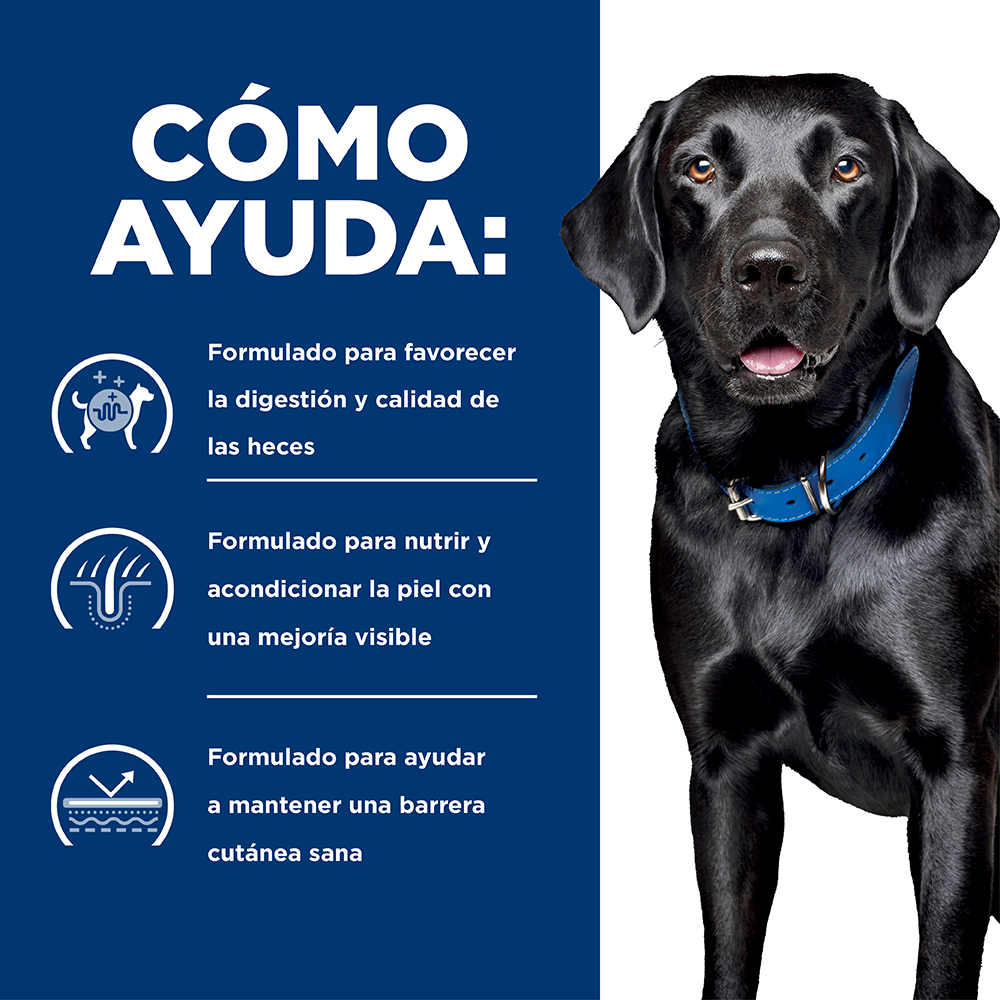 Hills Comida para Perro Alergías Alimenticias d/d Papa & Salmón x 8 Lb