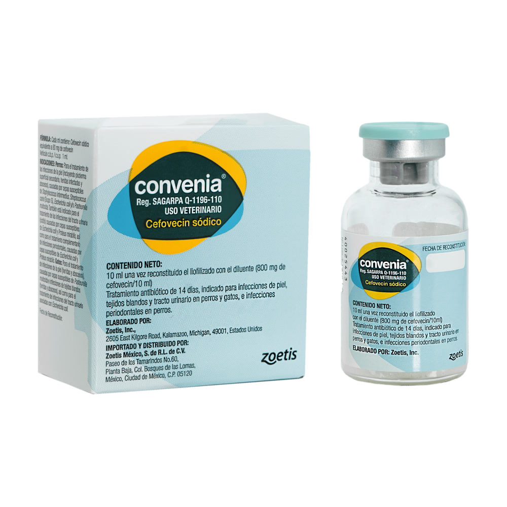 Convenia Antibiótico Perros y Gatos 800 Mg x 10 ml