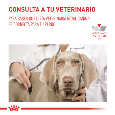 Royal Canin Anallergenic Perro x 3 kg