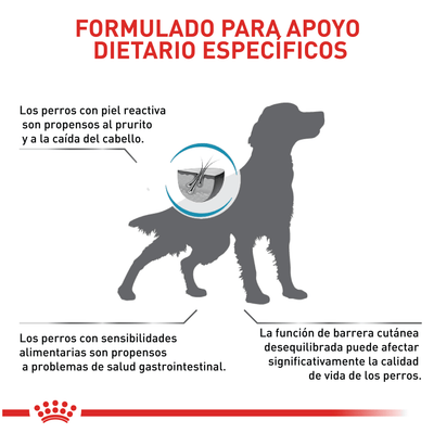 Royal Canin Skin Care Perro x 2 kg