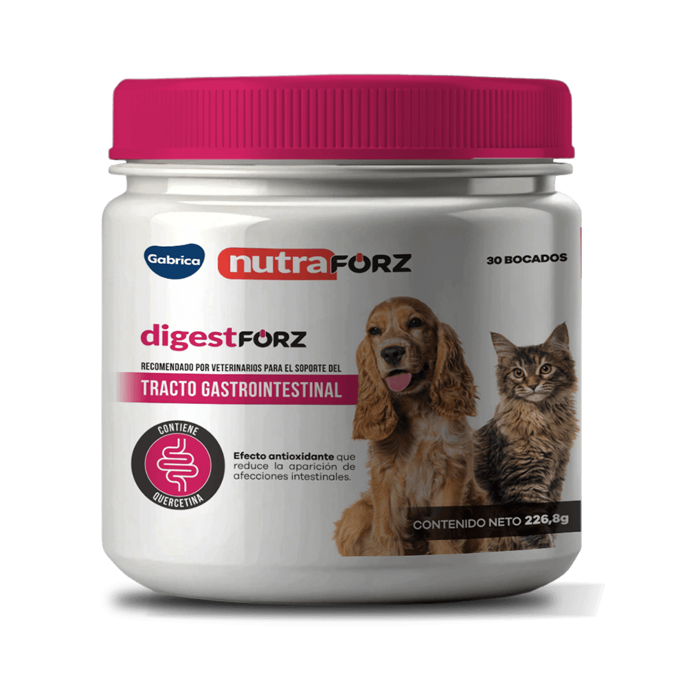 Digestforz para perros y gatos x 30 masticables