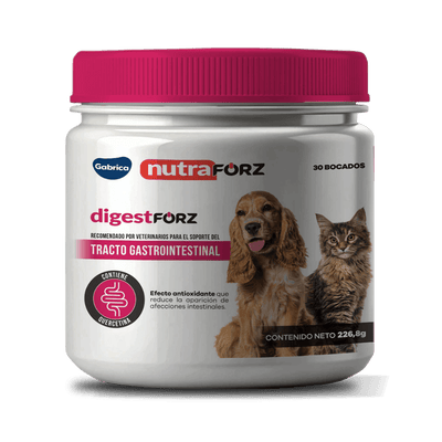 Digestforz para perros y gatos x 30 masticables