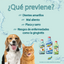Enjuague Bucal Para Perro Dental Fresh Whitening x 17 oz