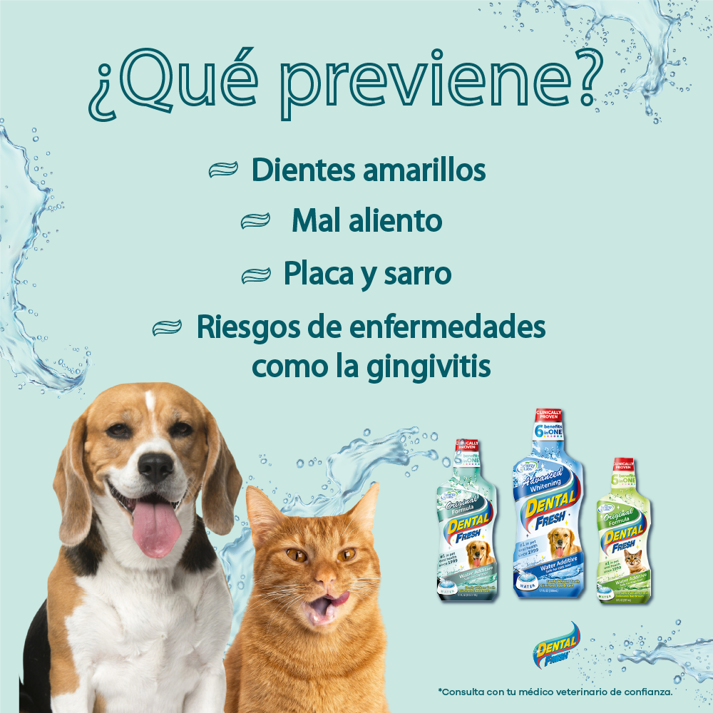 Enjuague Bucal Para Perro Dental Fresh Whitening x 17 oz