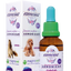 Esencia floral Armonizar Gotas x 30 ml