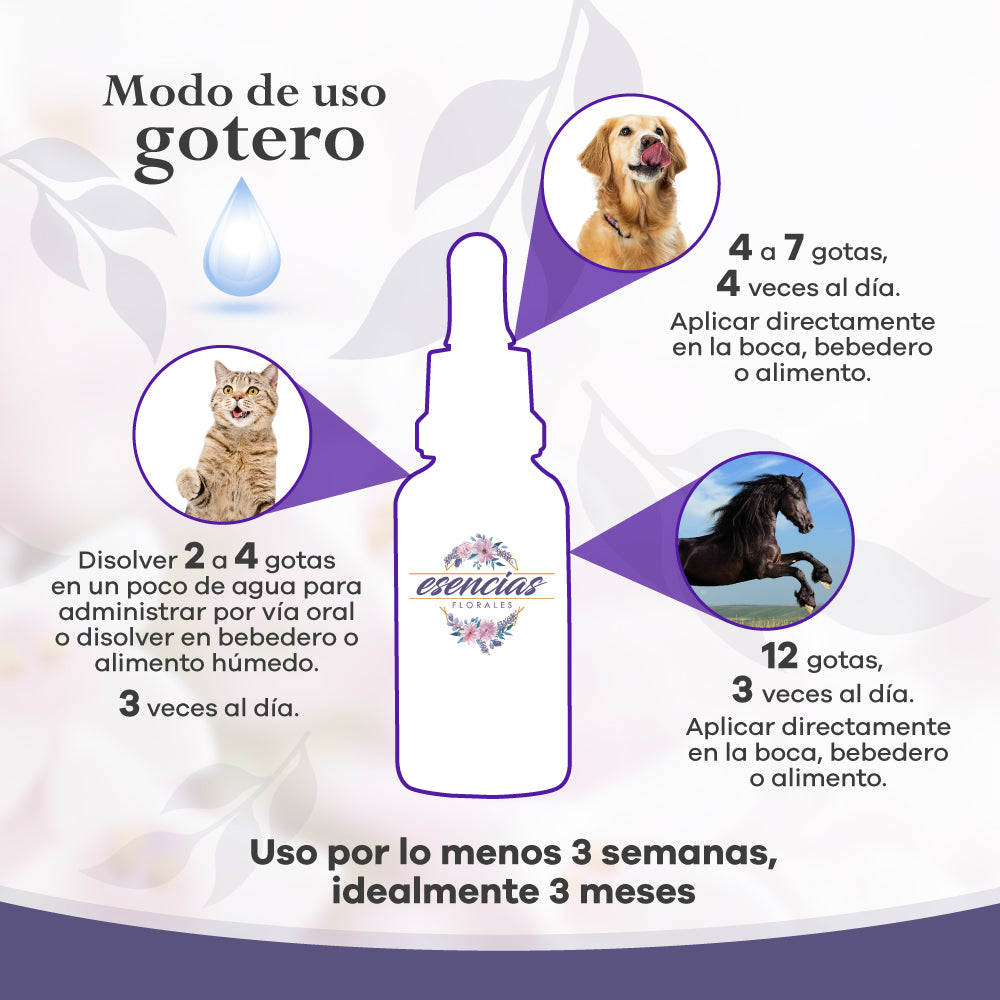 Esencia Floral Rescate Gotas x 30 ml