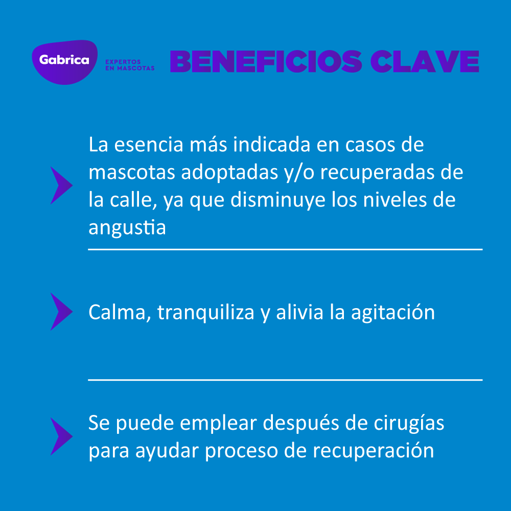 Esencia Floral Rescate Gotas x 30 ml