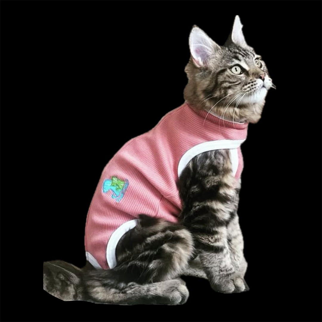 Fajas Post Quirúrgicas para Perros y Gatos