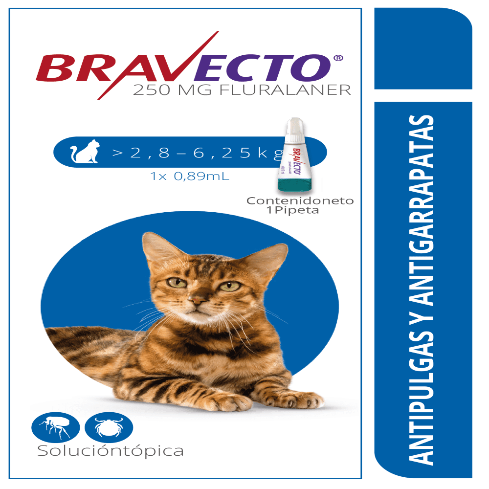 Bravecto gatos - 2.8Kg a 6.5Kg