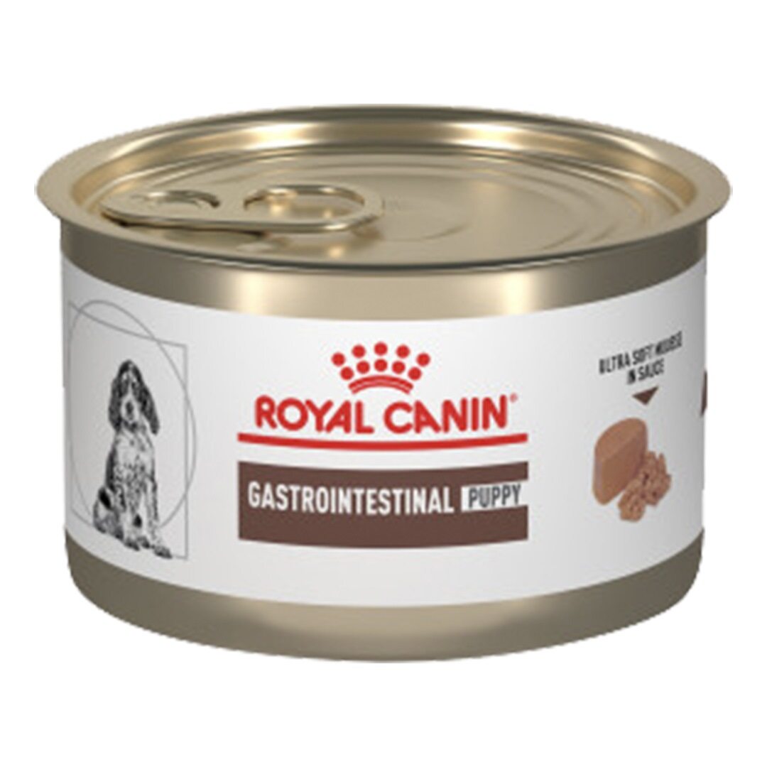 Royal Canin Gastro Cachorro lata x 0.14 kg