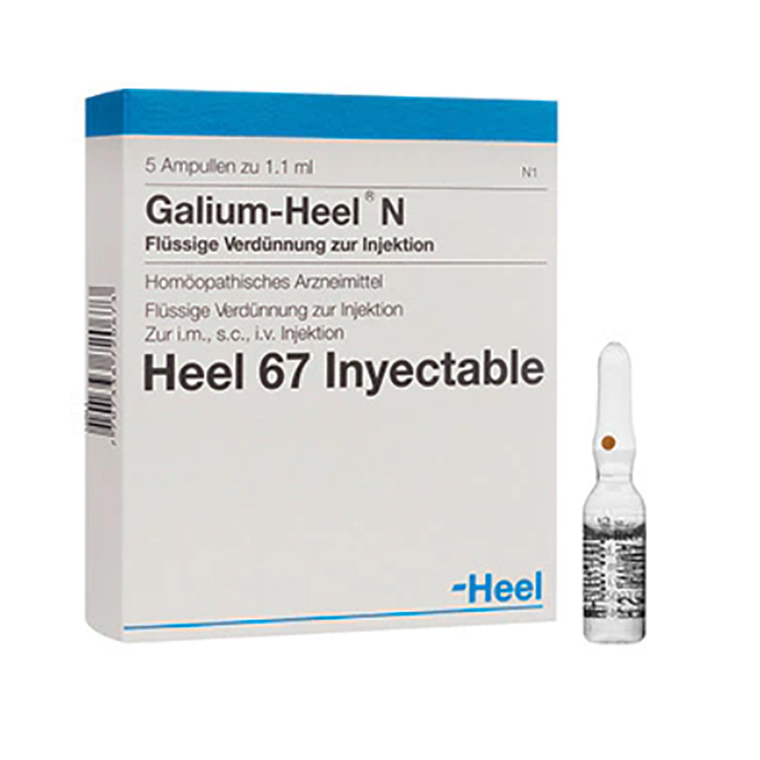 Galium ampollas x 1.1ml