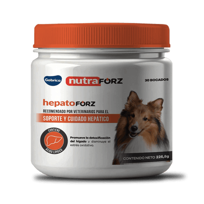 Hepatoforz para perros x 30 masticables