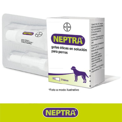 Neptra