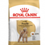 Royal Canin Poodle Adulto x 1.5 kg