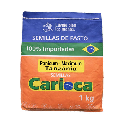 Panicum Maximum x Kilo