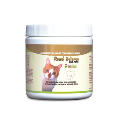 Renal balance gatos