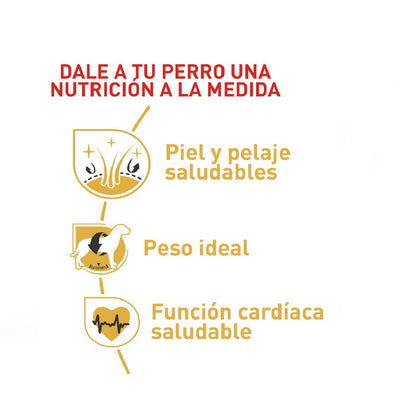 Royal canin cocker adulto 3 kg