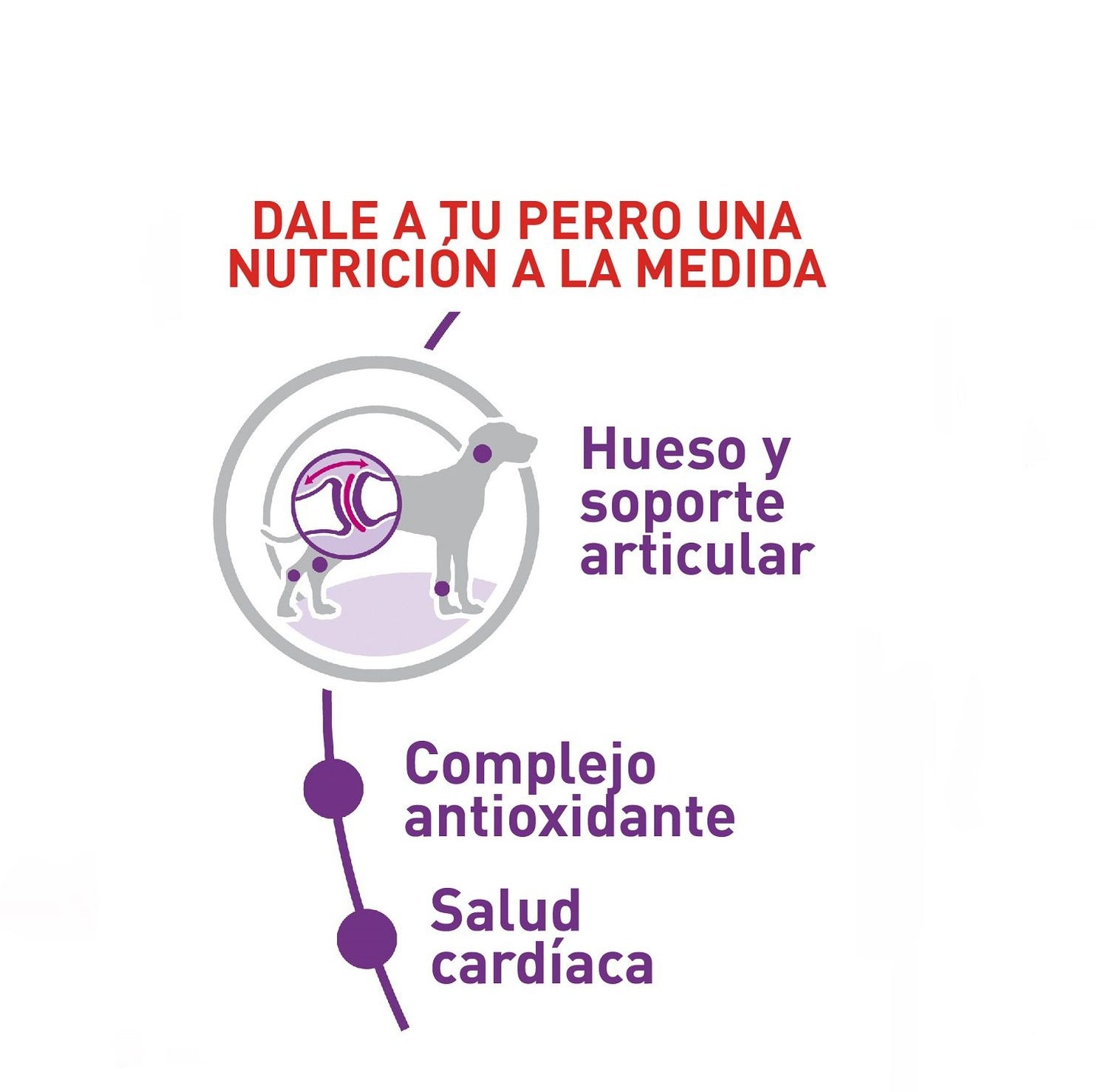 Royal Canin Giant Adulto x 15 kg