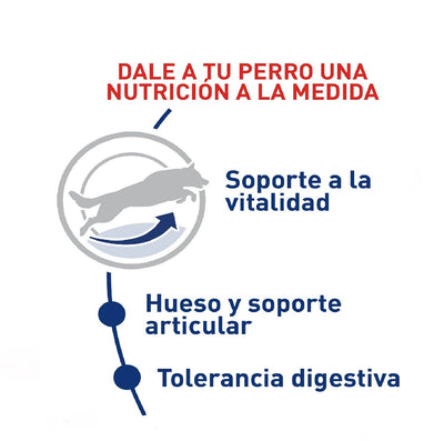Royal Canin Maxi Adulto +5 años x 15 kg