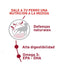 Royal Canin Medium Adulto x 15 kg