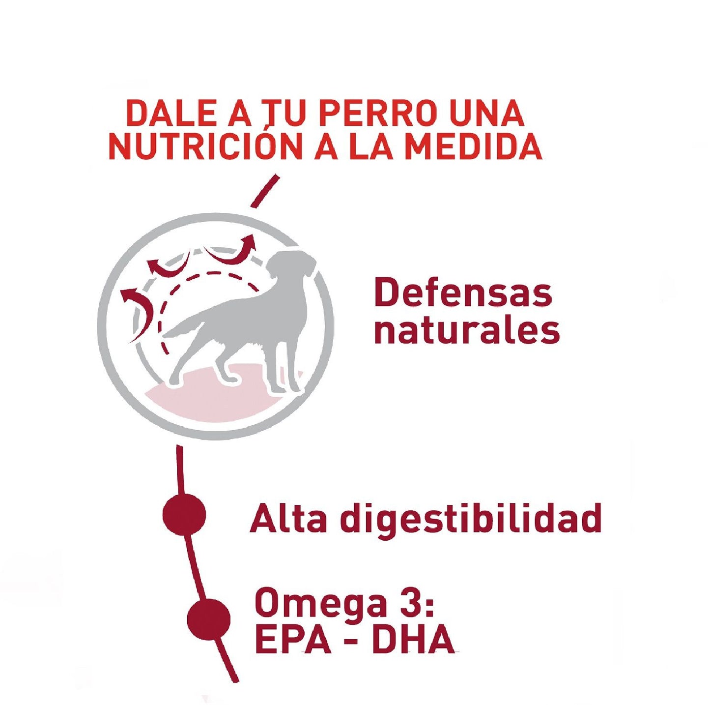 Royal Canin Medium Adulto x 15 kg