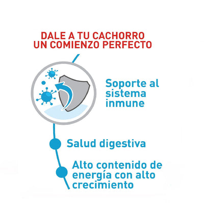 Royal Canin Medium Cachorro