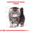 Royal Canin Persa Kitten x 2 kg