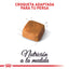 Royal Canin Persa Kitten x 2 kg