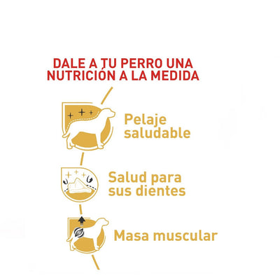 Royal Canin Poodle Adulto x 1.5 kg
