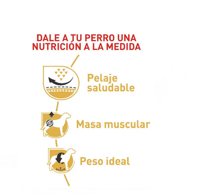 Royal Canin Pug Adulto x 3 kg
