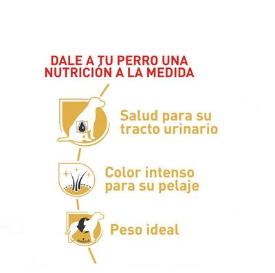Royal Canin Mini Schnauzer Adulto x 4.5 kg