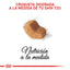 Royal Canin Shih Tzu Adulto