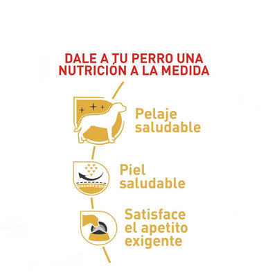 Royal Canin West Highland White Terrier Adulto x 3 kg