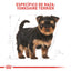 Royal Canin Yorkshire Terrier Cachorro x 1.13 kg