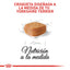 Royal Canin Yorkshire Terrier Cachorro x 1.13 kg
