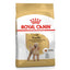 Royal Canin Poodle Adulto x 1.5 kg