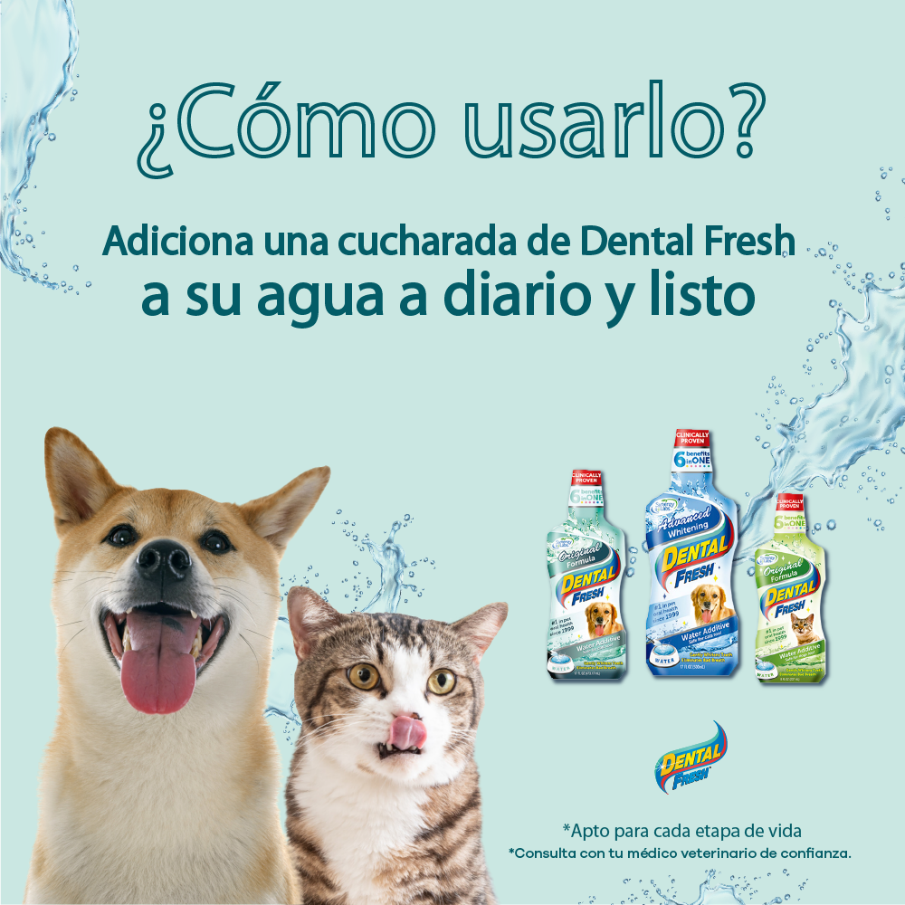 Spray Oral Para Perros y Gatos Dental Fresh Original