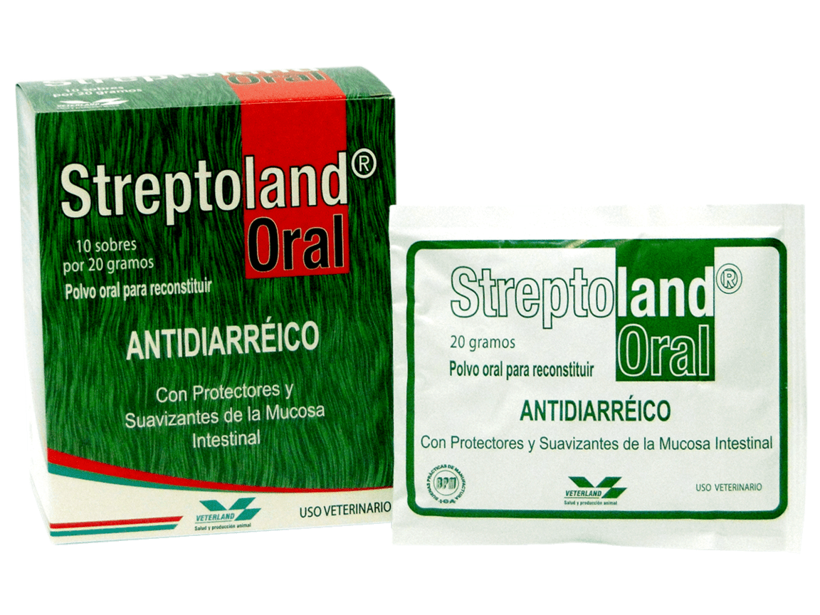 Streptoland Oral Sobre X 20 Gr