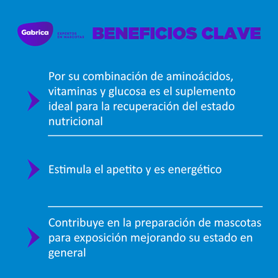 Suplemento Hemolitan Para Perro Y Gato
