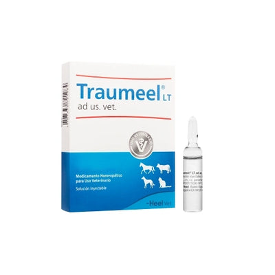 Traumeel Vet Ampolla x 5 ml
