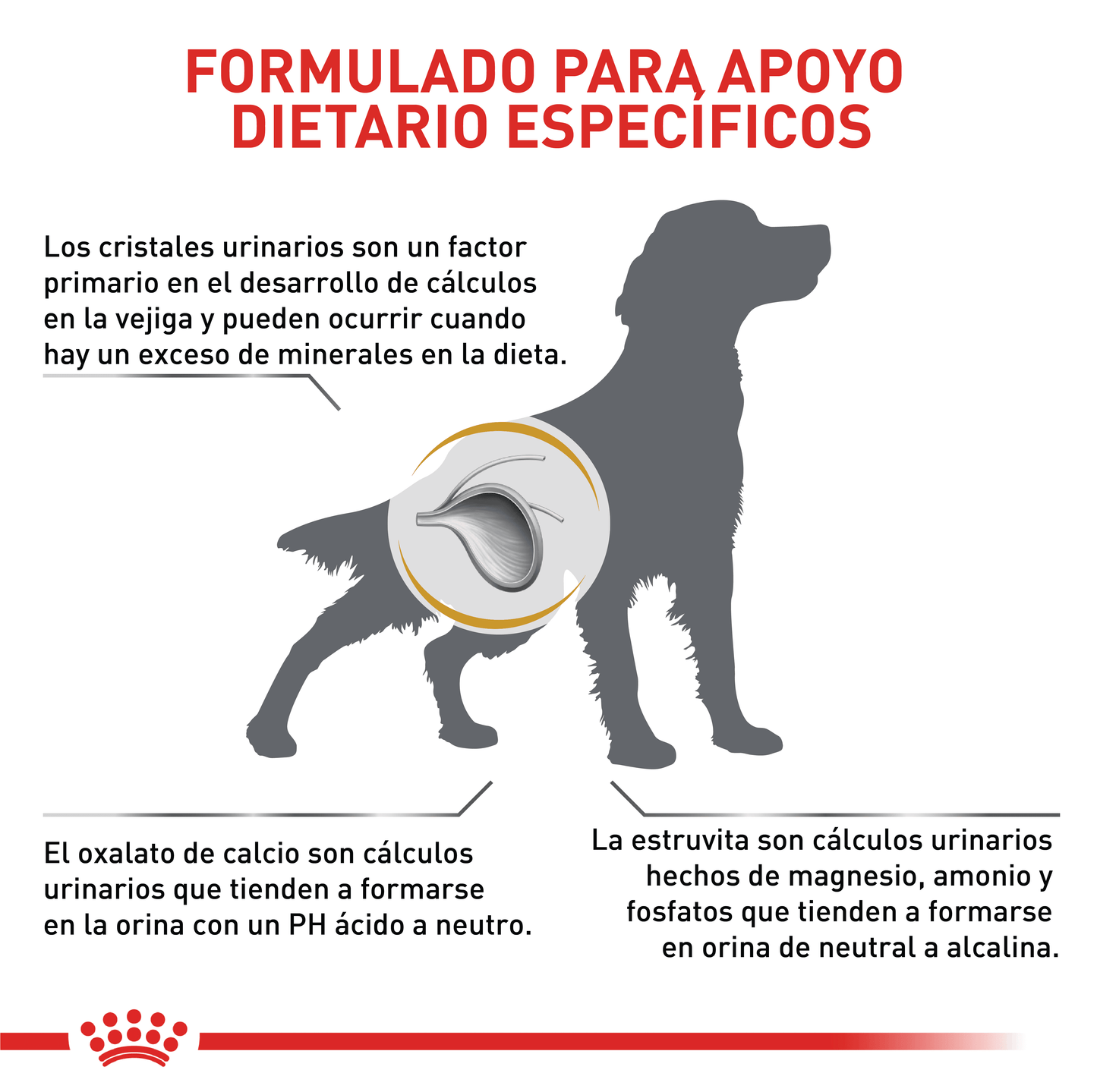 Royal Canin Urinary S/O Perro
