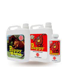 Shampoo puppy horse x 2 LT