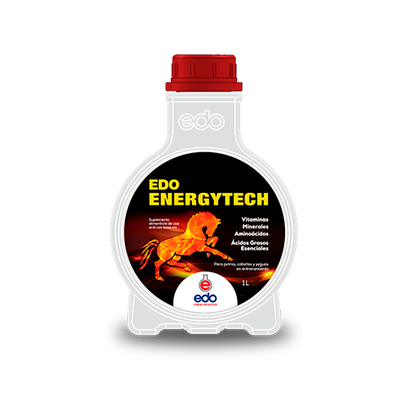 Edo Energytech