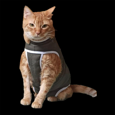 Fajas Post Quirúrgicas para Perros y Gatos