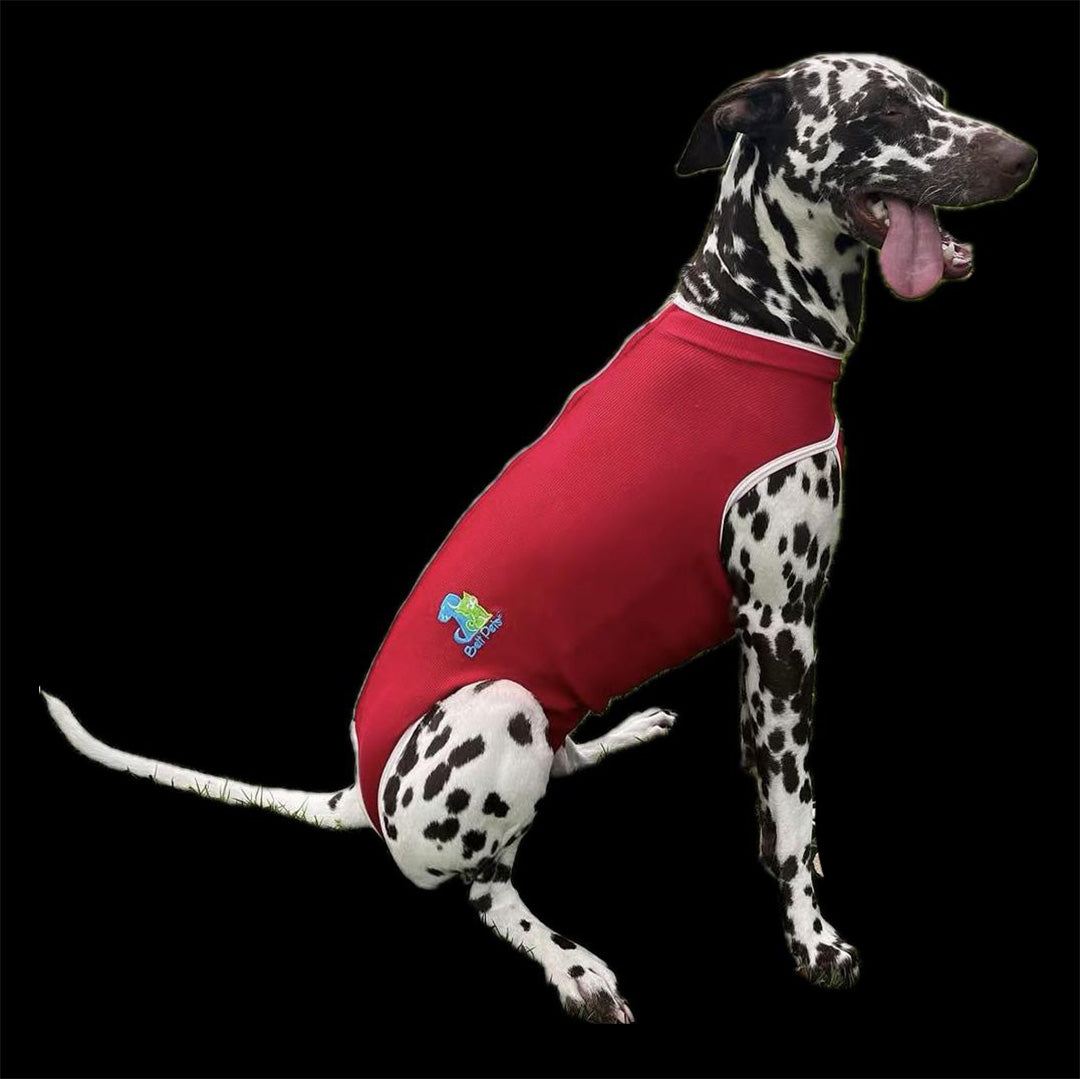 Fajas Post Quirúrgicas para Perros y Gatos