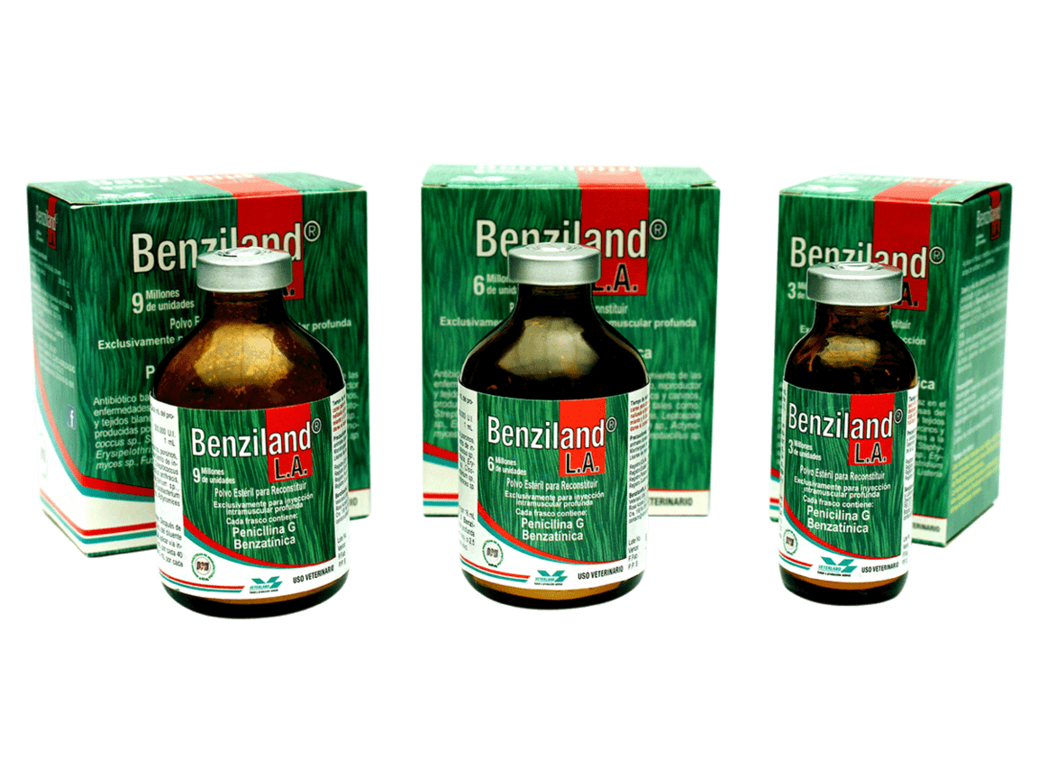 Benziland® L.A.