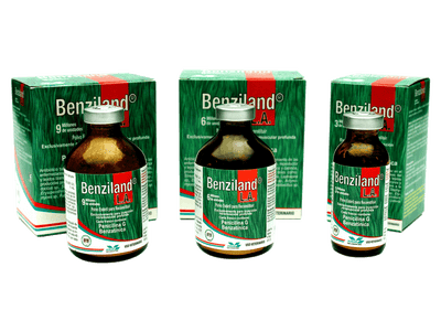 Benziland® L.A.