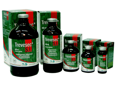 Trevesec  S.I.