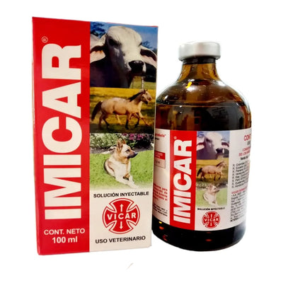 IMICAR