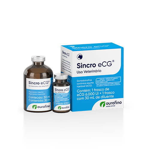 Sincro eCG 6000 UI